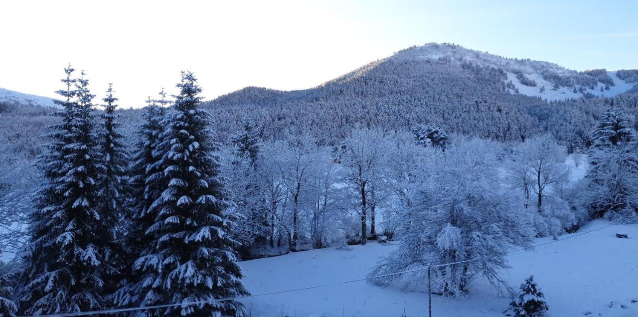 Sci Jsm Apartamento Gresse-en-Vercors Exterior foto